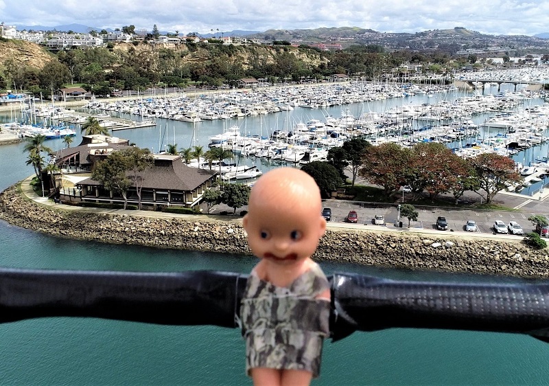 Brutus Baby Flying Over Dana Point Harbor